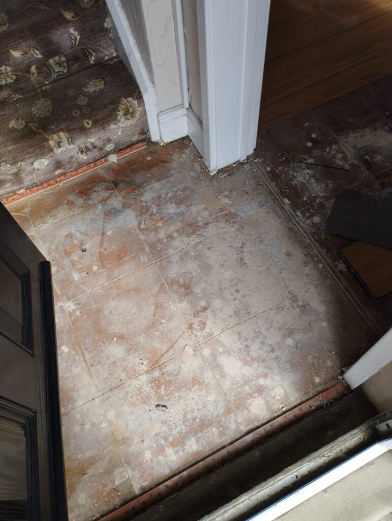Existing floors