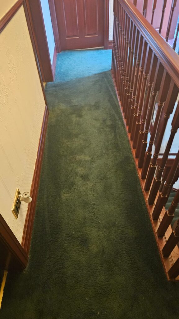 Axminster Tartan Carpet
