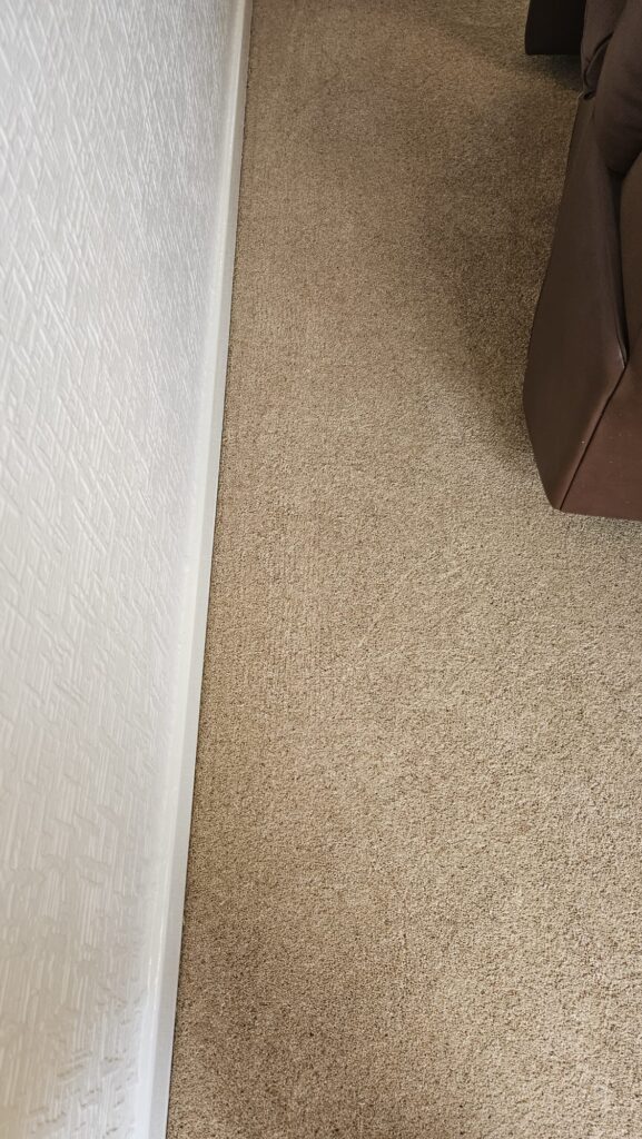 Luxurious Wool Berber Carpet