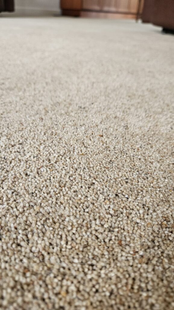 Beautiful Swaledale 55oz Wool Berber Carpet