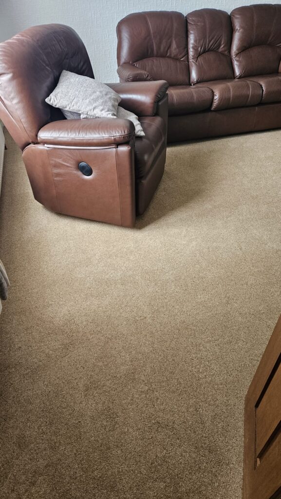 Luxurious Wool Berber Carpet
